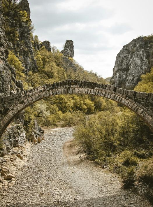 Zagori nature bridge